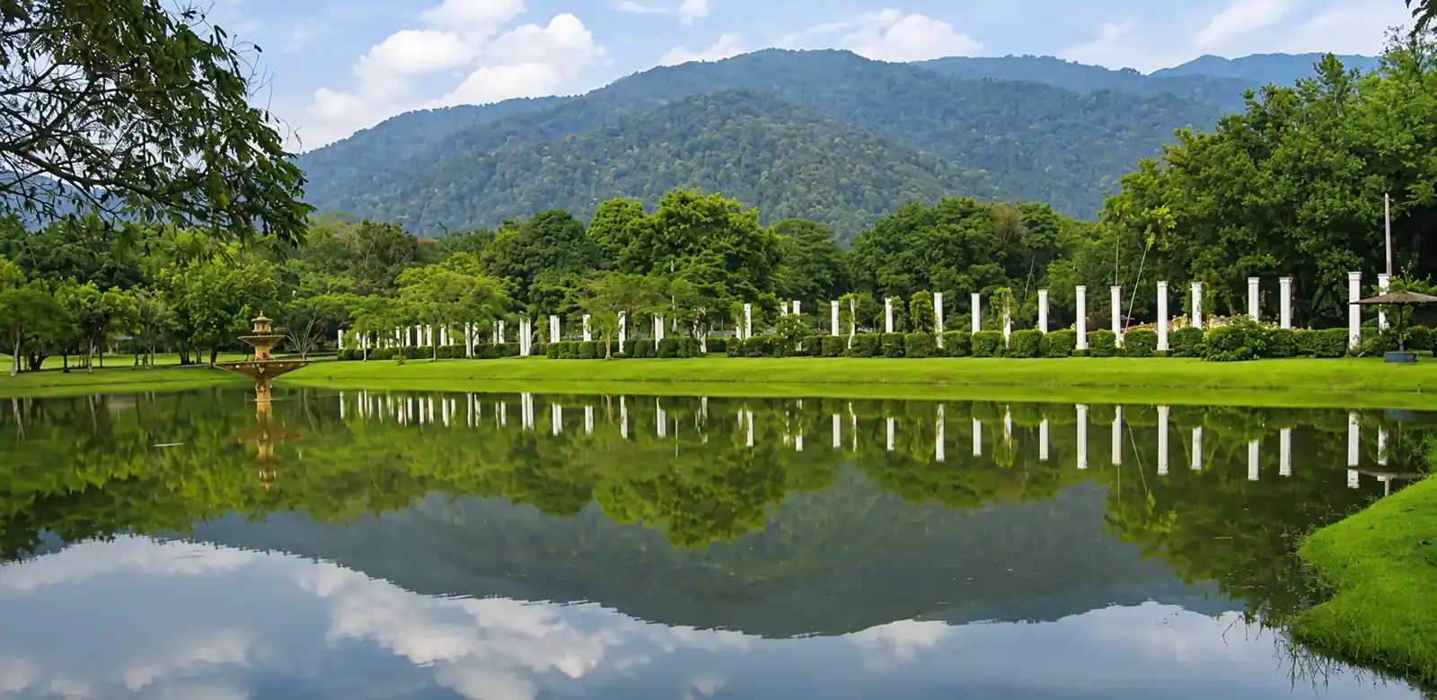 Pokok-pokok hujan terpantul di Taman Tasik Taiping