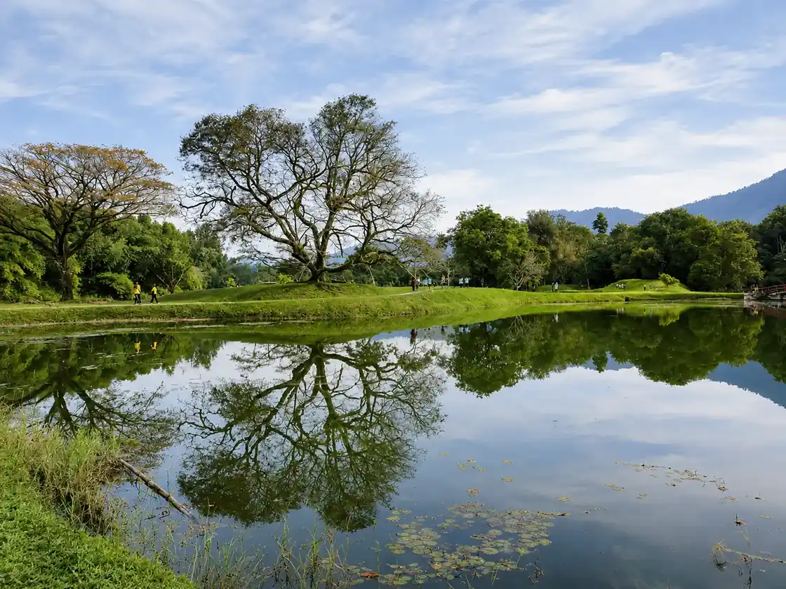 Taman Tasik Taiping di bawah pokok-pokok hujan